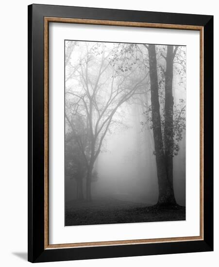 November Fog-Nicholas Bell-Framed Photographic Print