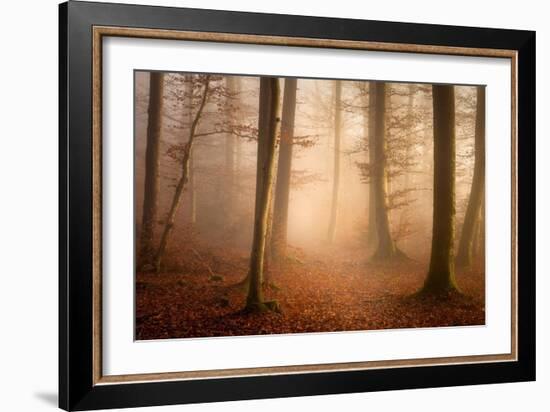 November Forest-Norbert Maier-Framed Giclee Print