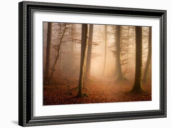 November Forest-Norbert Maier-Framed Giclee Print