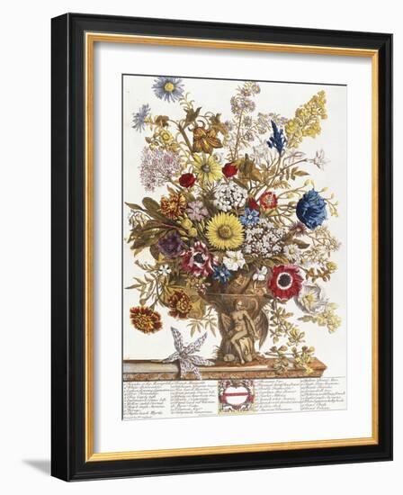 November, from 'Twelve Months of Flowers', 1730-Pieter Casteels-Framed Giclee Print