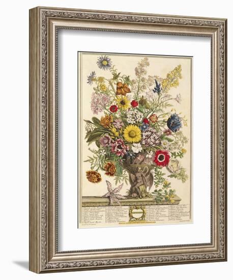 November, from 'twelve Months of Flowers' by Robert Furber (C.1674-1756) Engraved by Henry Fletcher-Pieter Casteels-Framed Giclee Print