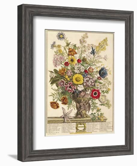 November, from 'twelve Months of Flowers' by Robert Furber (C.1674-1756) Engraved by Henry Fletcher-Pieter Casteels-Framed Giclee Print