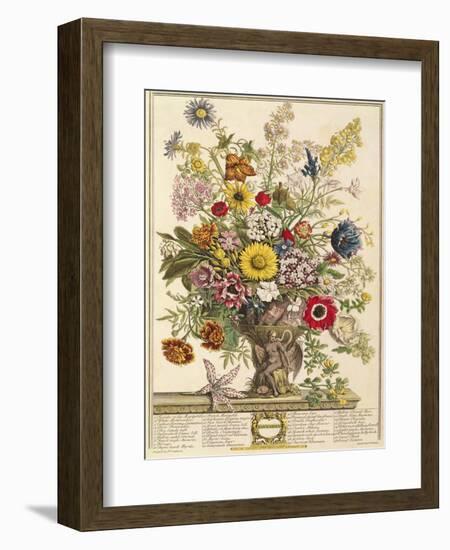 November, from 'twelve Months of Flowers' by Robert Furber (C.1674-1756) Engraved by Henry Fletcher-Pieter Casteels-Framed Giclee Print