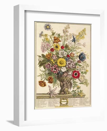 November, from 'twelve Months of Flowers' by Robert Furber (C.1674-1756) Engraved by Henry Fletcher-Pieter Casteels-Framed Giclee Print