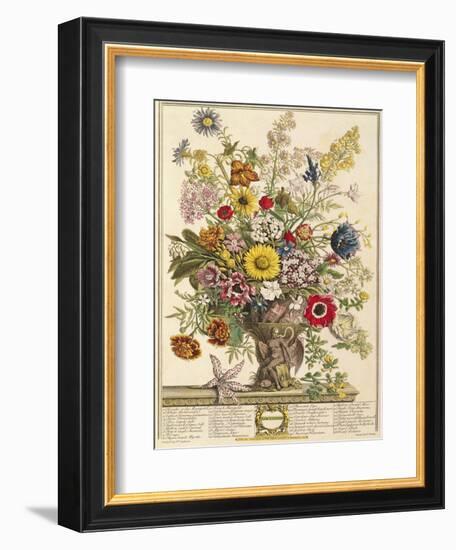 November, from 'twelve Months of Flowers' by Robert Furber (C.1674-1756) Engraved by Henry Fletcher-Pieter Casteels-Framed Giclee Print