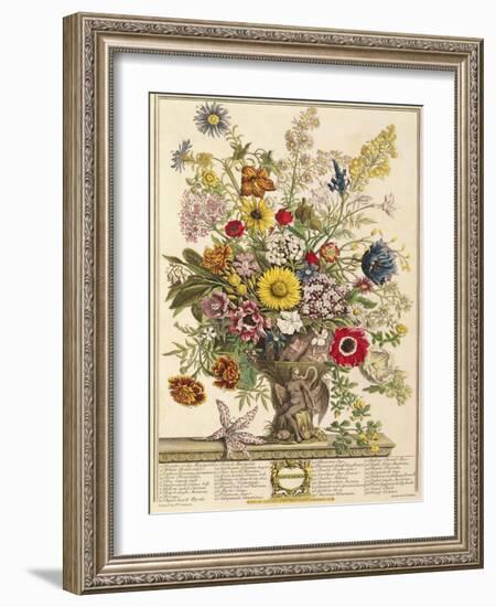 November, from 'twelve Months of Flowers' by Robert Furber (C.1674-1756) Engraved by Henry Fletcher-Pieter Casteels-Framed Giclee Print