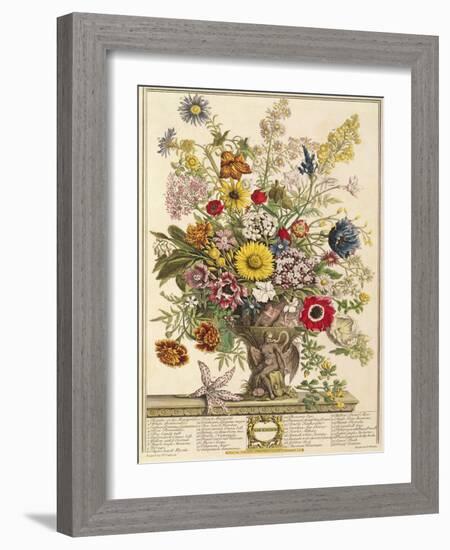 November, from 'twelve Months of Flowers' by Robert Furber (C.1674-1756) Engraved by Henry Fletcher-Pieter Casteels-Framed Giclee Print