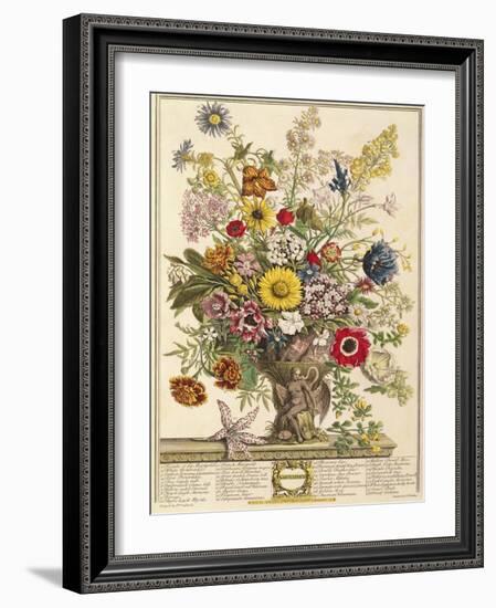 November, from 'twelve Months of Flowers' by Robert Furber (C.1674-1756) Engraved by Henry Fletcher-Pieter Casteels-Framed Giclee Print