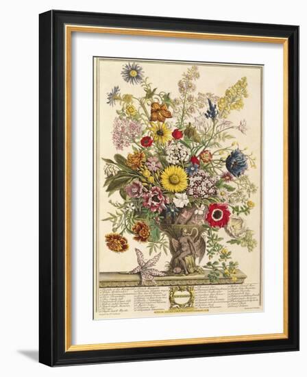 November, from 'twelve Months of Flowers' by Robert Furber (C.1674-1756) Engraved by Henry Fletcher-Pieter Casteels-Framed Giclee Print