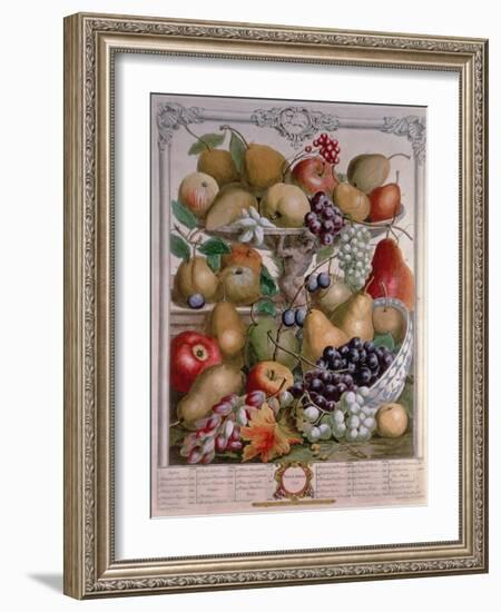 November, from 'Twelve Months of Fruits'-Pieter Casteels-Framed Giclee Print