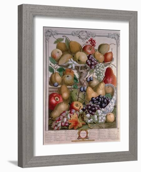 November, from 'Twelve Months of Fruits'-Pieter Casteels-Framed Giclee Print