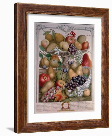 November, from 'Twelve Months of Fruits'-Pieter Casteels-Framed Giclee Print