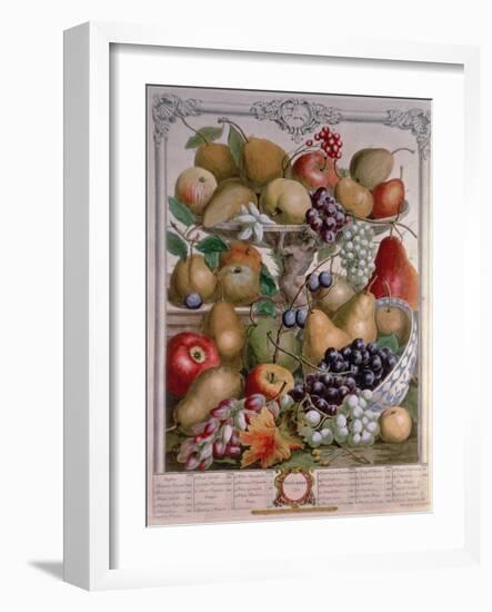 November, from 'Twelve Months of Fruits'-Pieter Casteels-Framed Giclee Print