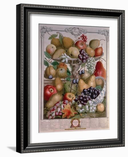 November, from 'Twelve Months of Fruits'-Pieter Casteels-Framed Giclee Print