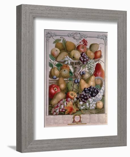 November, from 'Twelve Months of Fruits'-Pieter Casteels-Framed Giclee Print