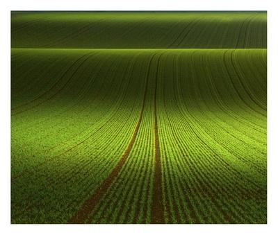 November Green Giclee Print Franz Schumacher Art Com