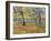 November in Hyde Park, 1997-Patricia Espir-Framed Giclee Print