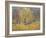 November in Hyde Park, 1997-Patricia Espir-Framed Giclee Print