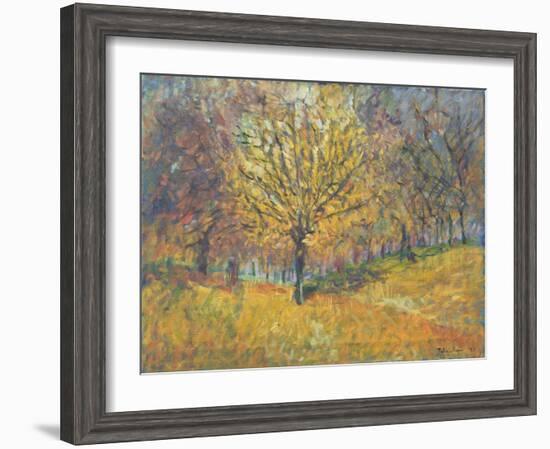 November in Hyde Park, 1997-Patricia Espir-Framed Giclee Print