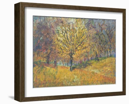 November in Hyde Park, 1997-Patricia Espir-Framed Giclee Print