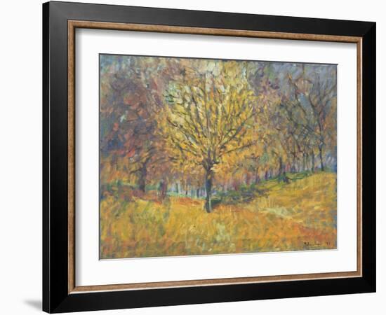 November in Hyde Park, 1997-Patricia Espir-Framed Giclee Print