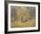 November in Hyde Park, 1997-Patricia Espir-Framed Giclee Print