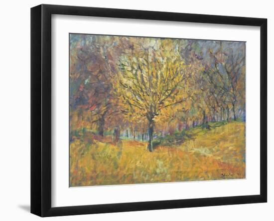 November in Hyde Park, 1997-Patricia Espir-Framed Giclee Print