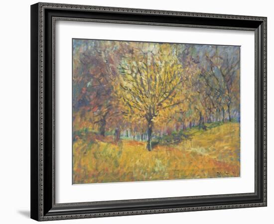 November in Hyde Park, 1997-Patricia Espir-Framed Giclee Print