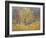 November in Hyde Park, 1997-Patricia Espir-Framed Giclee Print