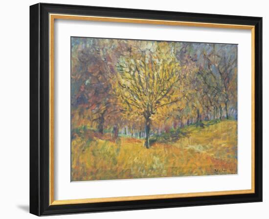 November in Hyde Park, 1997-Patricia Espir-Framed Giclee Print