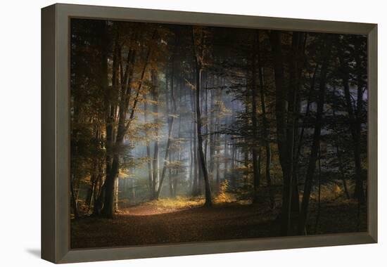 November Morning-Norbert Maier-Framed Premier Image Canvas