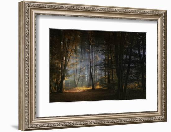 November Morning-Norbert Maier-Framed Photographic Print