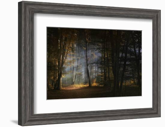 November Morning-Norbert Maier-Framed Photographic Print