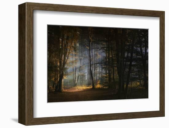 November Morning-Norbert Maier-Framed Photographic Print