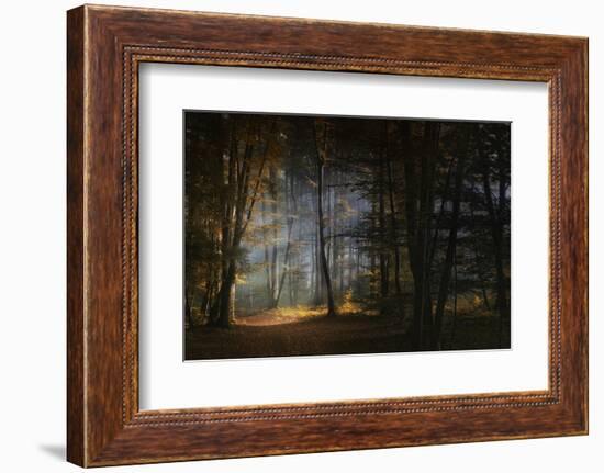 November Morning-Norbert Maier-Framed Photographic Print