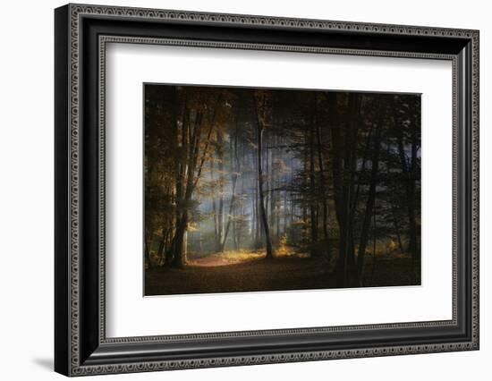 November Morning-Norbert Maier-Framed Photographic Print