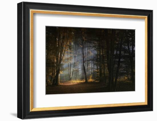 November Morning-Norbert Maier-Framed Photographic Print