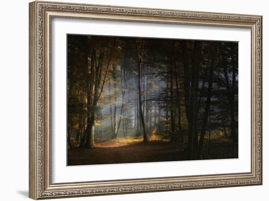 November Morning-Norbert Maier-Framed Photographic Print