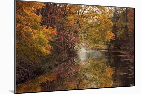 November Reflections-Jessica Jenney-Mounted Photographic Print