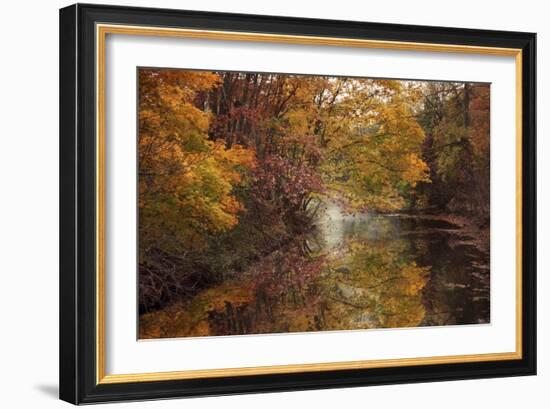 November Reflections-Jessica Jenney-Framed Photographic Print