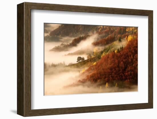 November's Fog-Bor-Framed Photographic Print