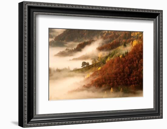 November's Fog-Bor-Framed Photographic Print