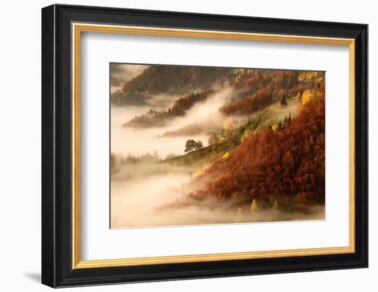 November's Fog-Bor-Framed Photographic Print