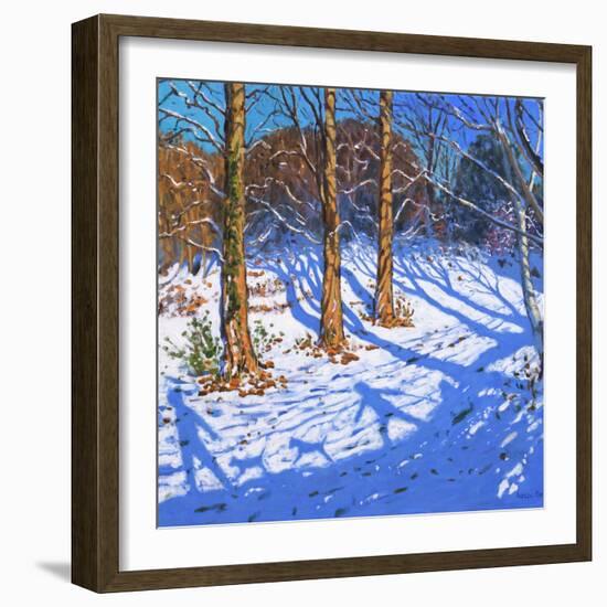 November Snow, Allestree Park, Derby, 2017-Andrew Macara-Framed Giclee Print