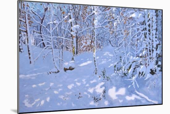 November Snow,Allestree Woods,Derby-Andrew Macara-Mounted Giclee Print