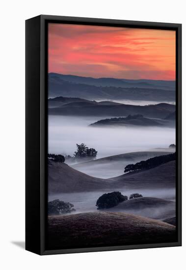 November Sunrise, Fog in the Petaluma Hills, Sonoma County-Vincent James-Framed Premier Image Canvas