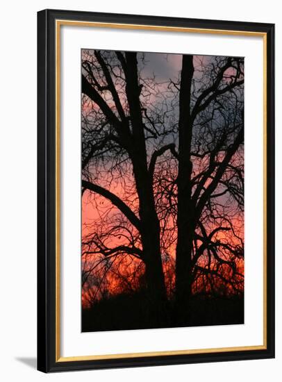 November Sunset Vertical-Robert Goldwitz-Framed Photographic Print