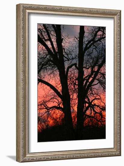 November Sunset Vertical-Robert Goldwitz-Framed Photographic Print