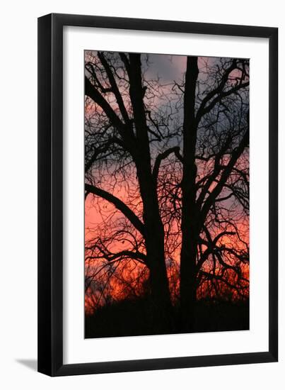 November Sunset Vertical-Robert Goldwitz-Framed Photographic Print
