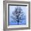 November Tree-James McLoughlin-Framed Art Print